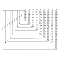 Forti -panel -verzinktes Drahtgitter